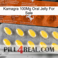 Kamagra 100Mg Oral Jelly For Sale 42